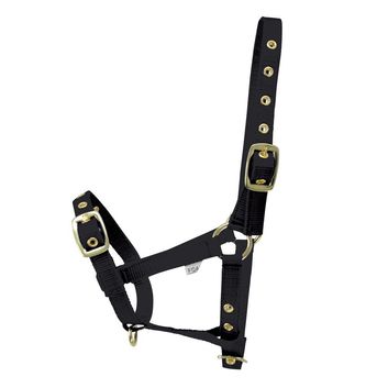 Hy Equestrian Foal Head Collar - Black