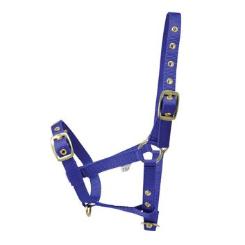 Hy Equestrian Foal Head Collar - Blue