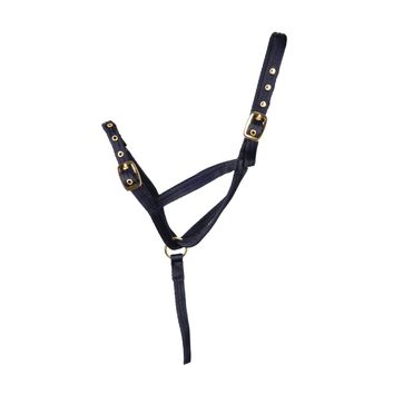 Hy Equestrian Foal Slip Halter alternative