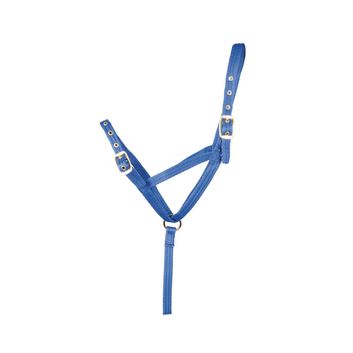 Hy Equestrian Foal Slip Halter