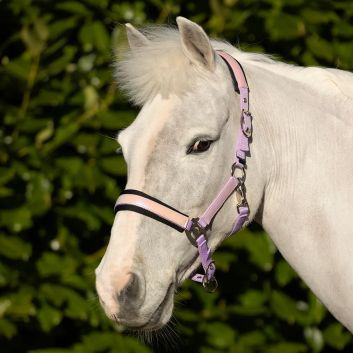Hy Equestrian Glimmer Head Collar - Full alternative