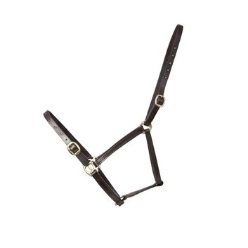 Hy Equestrian Leather Foal Head Collar - Brown