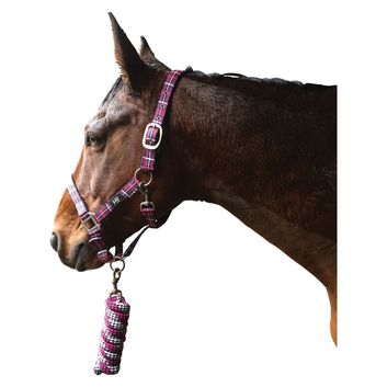 Hy Equestrian Tartan Head Collar with Lead Rope - Navy/Green/Grey - Cob alternative