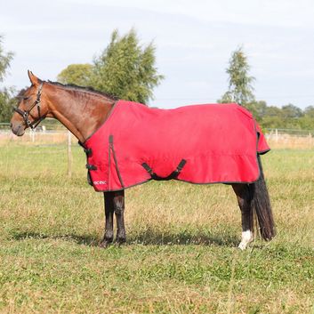 HyCONIC 200g Turnout Rug - Red