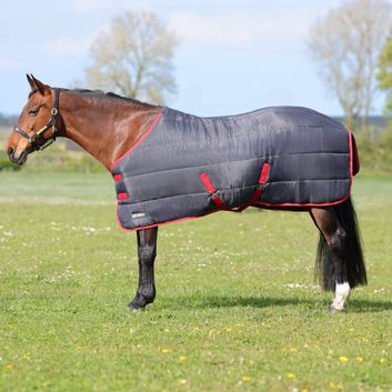 HyCONIC 250g Stable Rug - Charcoal/Red