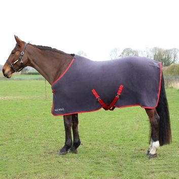 HyCONIC Fleece Rug - Charcoal/Red