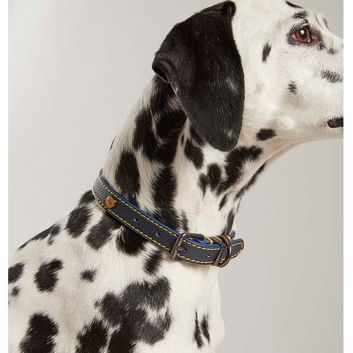 Joules Leather Dog Collar - Navy