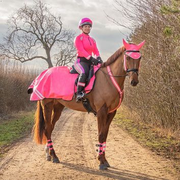 Reflector Fleece Exercise Sheet by Hy Equestrian - Pink alternative