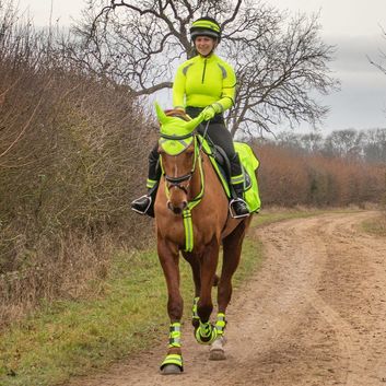 Reflector Martingale by Hy Equestrian - Yellow alternative