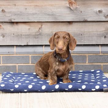 Supreme Products Dotty Fleece Dog Bed - Noble Navy alternative