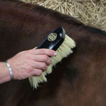 Supreme Products Perfection Flick Brush alternative