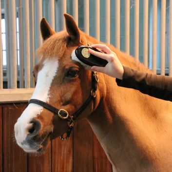 Supreme Products Perfection Goats Hair Face Brush alternative