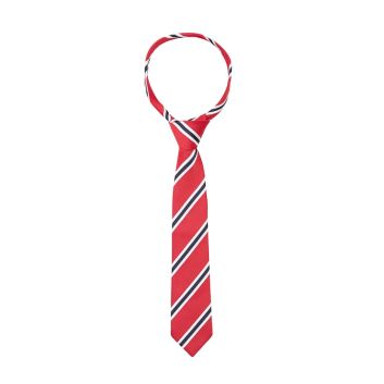 Supreme Products Show Tie - Red Check