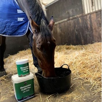 NAF Glucosamine 12,000 Plus with MSM alternative