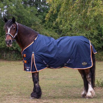 Gallop Trojan Duraproof 100g Turnout Turnout Rug Navy alternative
