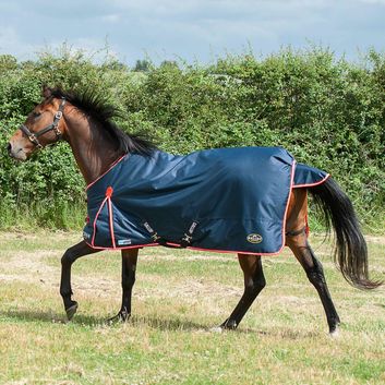Gallop Trojan Duraproof 200g Turnout Turnout Rug Navy alternative