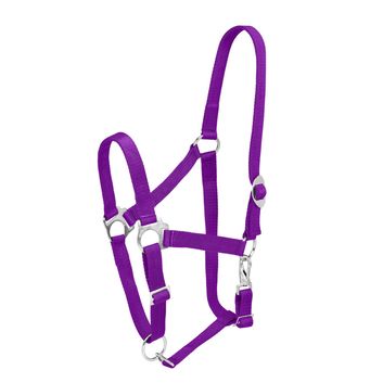 Firefoot Economy Adjustable Headcollar Purple