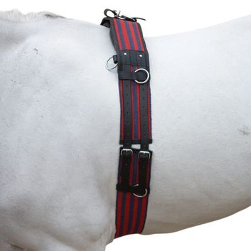 Hy Equestrian Training Roller - Blue/Red