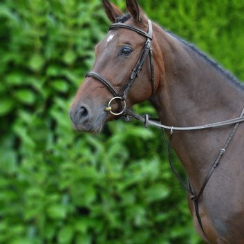 Hy Equestrian Running Martingale - Brown alternative
