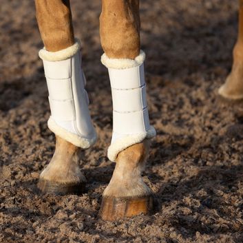 Proreaction Performance Air Mesh Brushing Boots By Hy Equestrian White