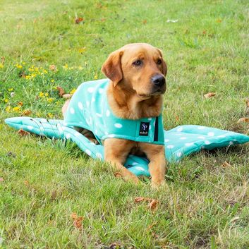 Supreme Products Dotty Fleece Dog Coat Gorgeous Green alternative