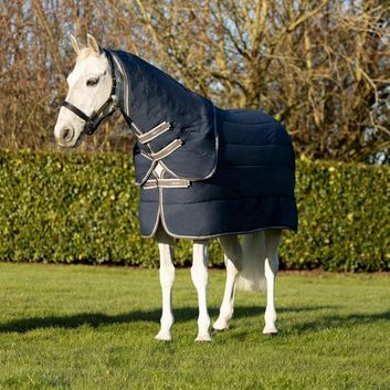 DefenceX Shield 100g Stable Rug with Detachable Neck - Purple alternative