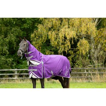 DefenceX Shield 100g Turnout Rug with Detachable Neck - Purple alternative