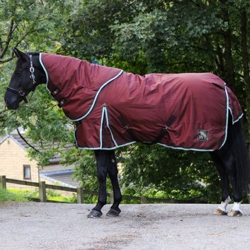 W-Horse R347 James 150g Turnout Rug Combo Burgundy alternative