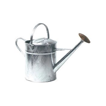 Ambassador Galvanised Watering Can