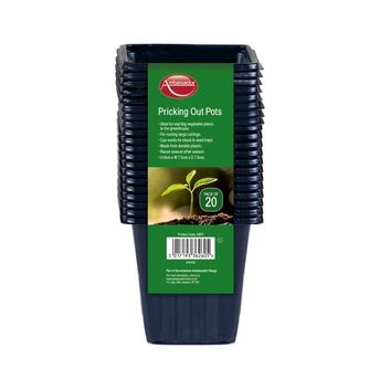 Ambassador Pricking Out Pots