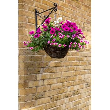 Ambassador Willow Hanging Basket