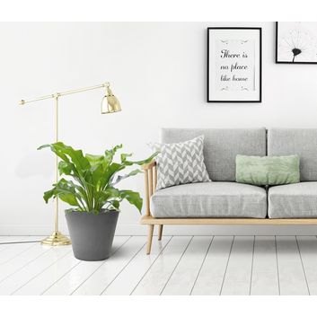 Primeur Tierra Verde Octavia Planter