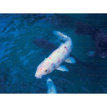 Ambassador Pond Protection Net