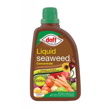 Doff Liquid Seaweed Concentrate Plant Feed
