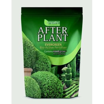 Empathy After Plant Evergreens With Rootgrow