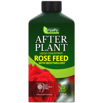 Empathy After Plant Rose Feed