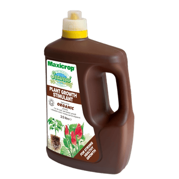 Maxicrop Original Seaweed Extract Plant Growth Stimulant alternative