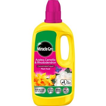 Miracle-Gro Ericaceous Liquid Plant Food
