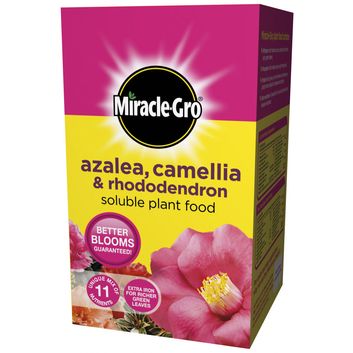 Miracle-Gro® Azalea, Camellia &amp; Rhododendron Soluble Plant Food alternative