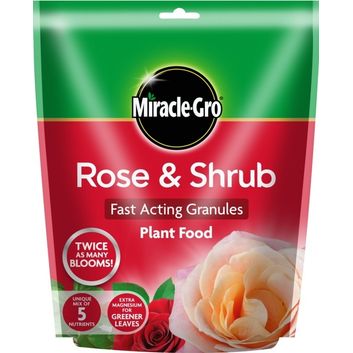Miracle-Gro® Rose &amp; Shrub Plant Food alternative