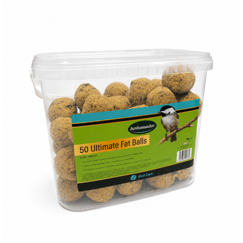 Ambassador Ultimate Fat Balls alternative