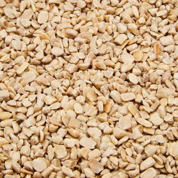 Ambassador Sunflower Hearts