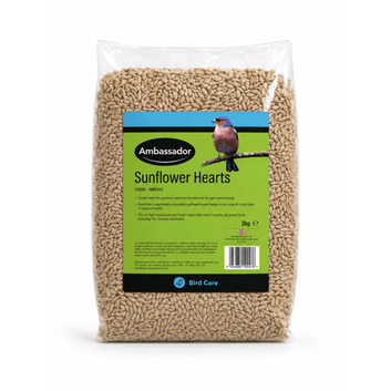 Ambassador Sunflower Hearts alternative