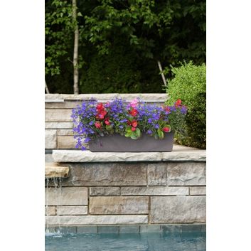 Primeur Sonata Trough