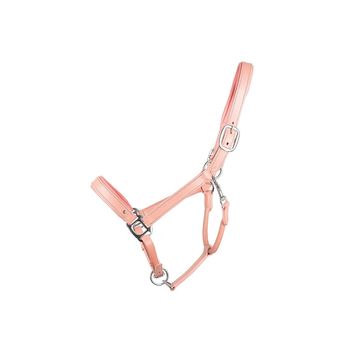 Serena Leather Head Collar by Little Rider Pink