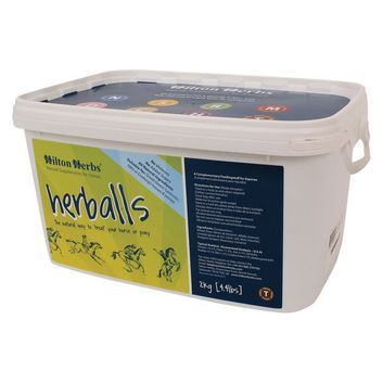 Hilton Herbs Herballs - Turmeric &amp; Ginger - 500g Tub alternative