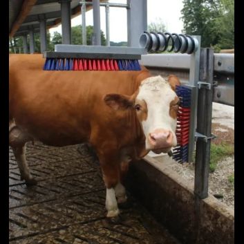 HAPPYCOW Dual Cattle Brush For Stall Wall - DAMAGED BOX SPECIAL! alternative