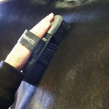 Supreme Products Pro Groom Body Brush - Black/Gold alternative