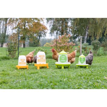 Plastic Poultry Drinker with Motif Ladies alternative