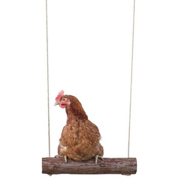 Chicken Swing alternative